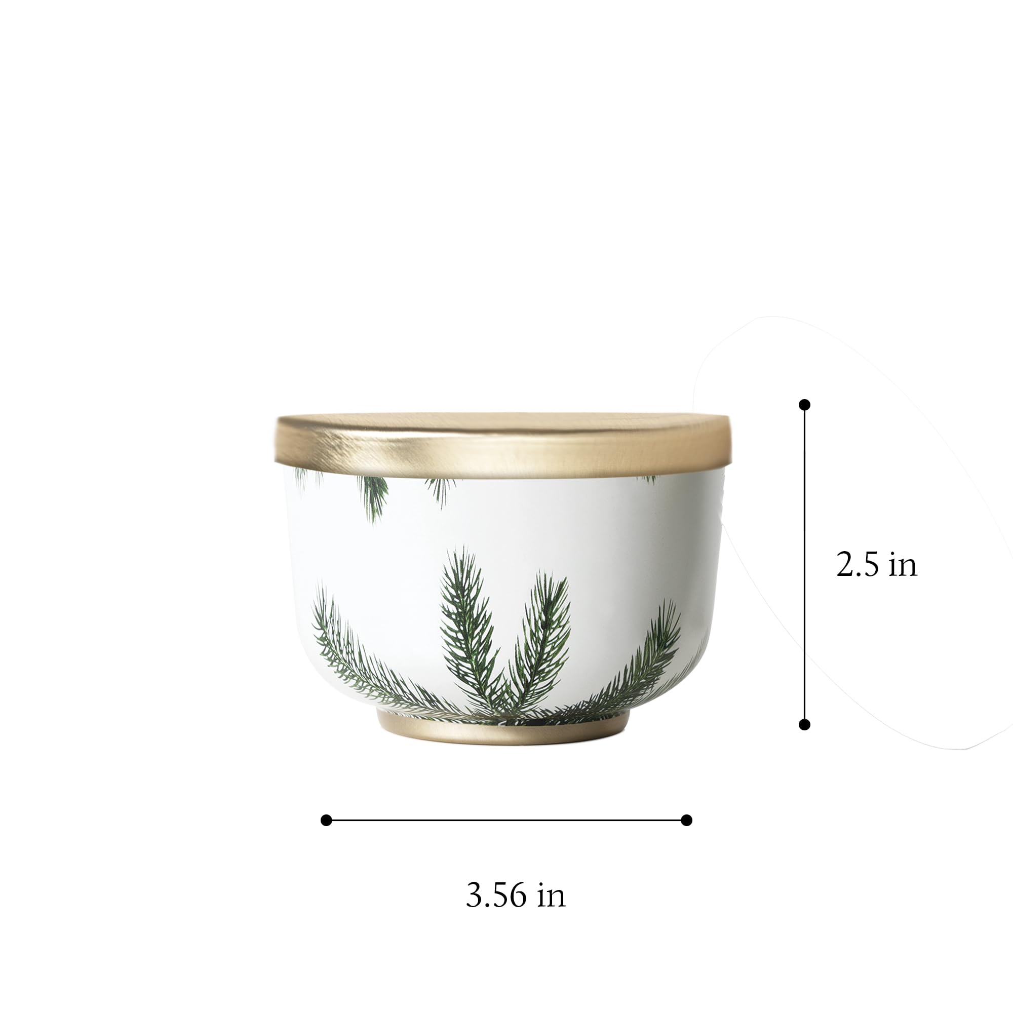 Thymes Frasier Fir sprig and wood pieces representing natural fragrance notes