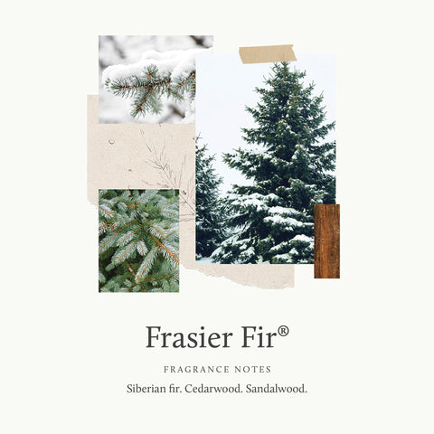 Thymes Frasier Fir melted wax pool close-up illustrating even fragrance release