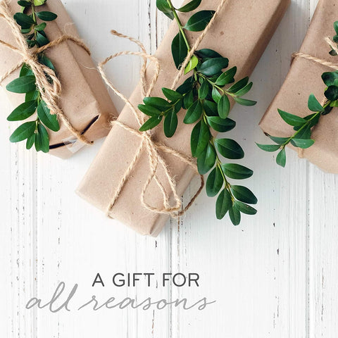 Thymes Frasier Fir scent notes still life, communicates fragrance layers