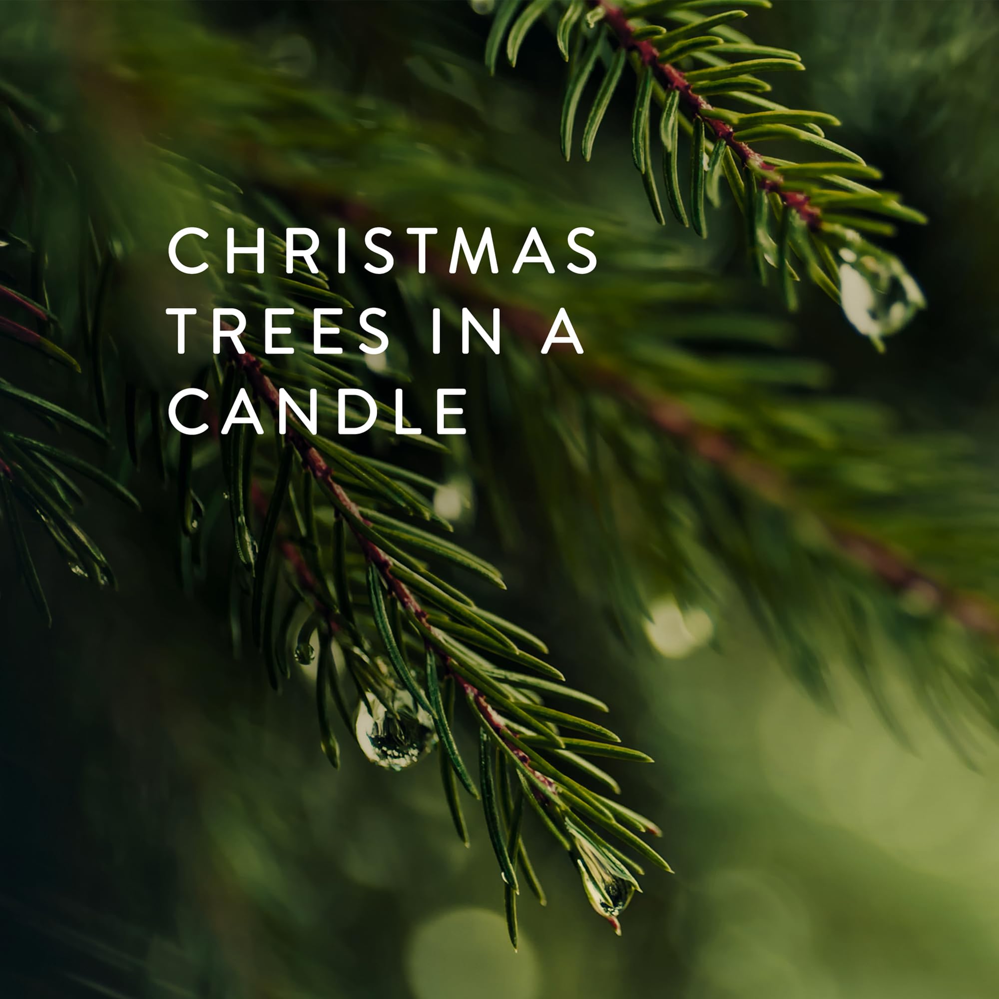 Close-up of Thymes Frasier Fir silver jar texture highlighting elegant pine-needle motif benefit