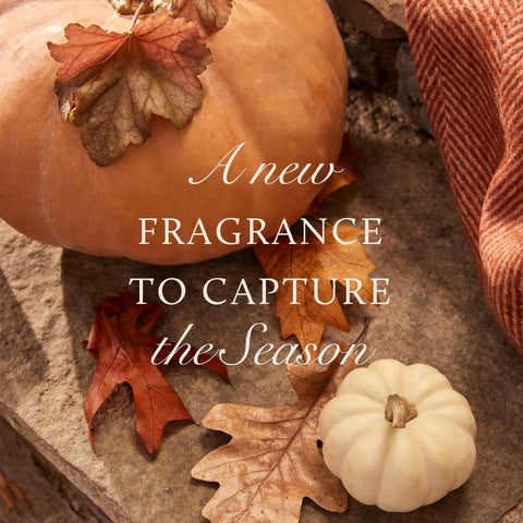 thymes tin candle styled on a shelf adding autumn scent and visual warmth