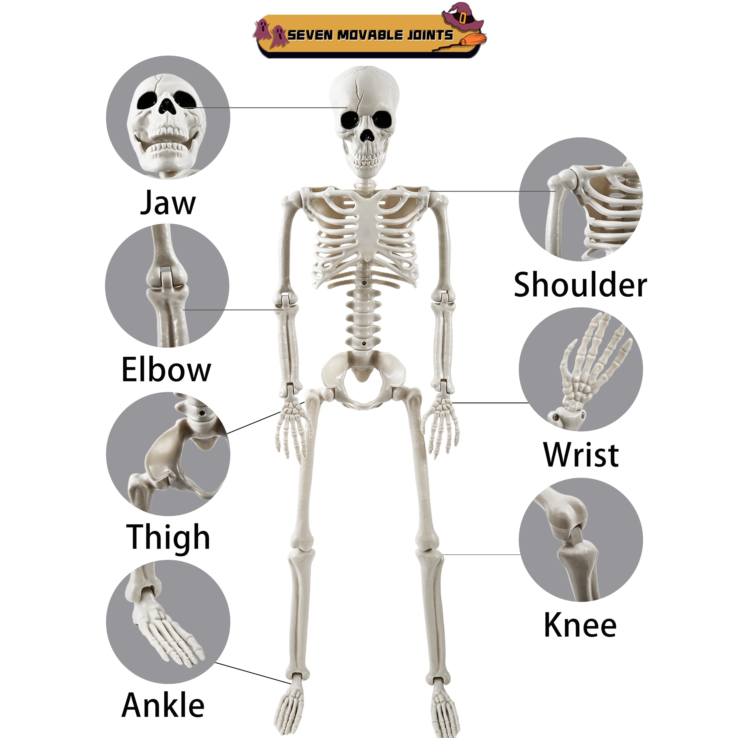 tkgpe skeleton close texture highlighting realistic bone detail and durability