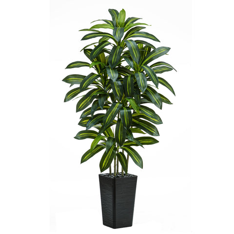 TNGGNT artificial dracaena front view showing full 5ft height and room-enhancing presence