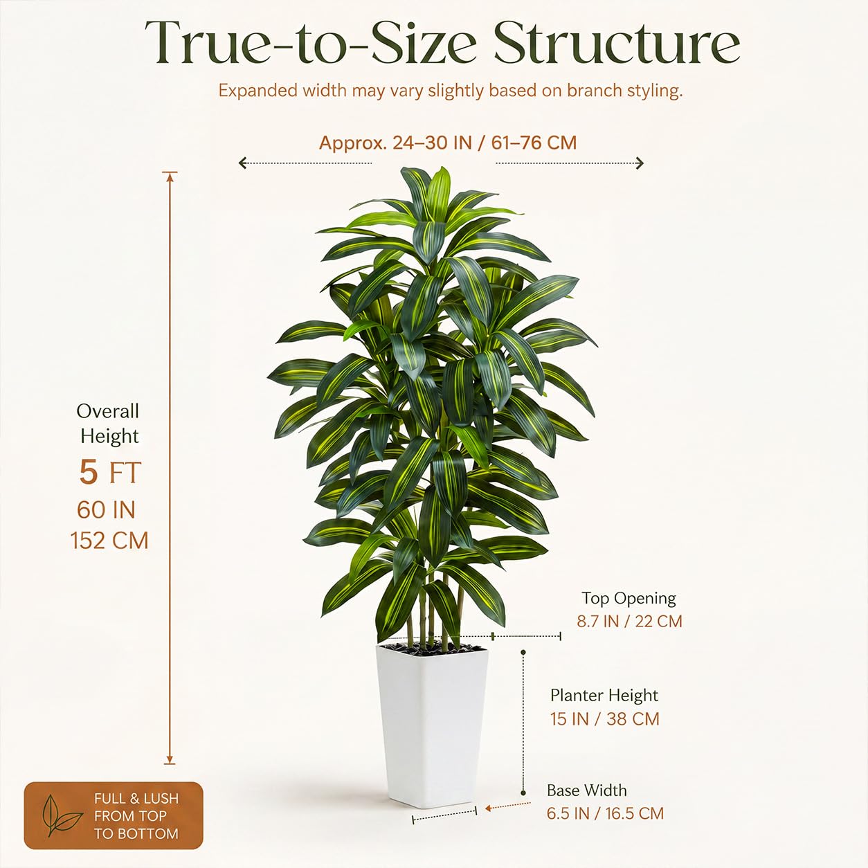 TNGGNT full room placement of dracaena demonstrating how it fills vertical space and lifts decor