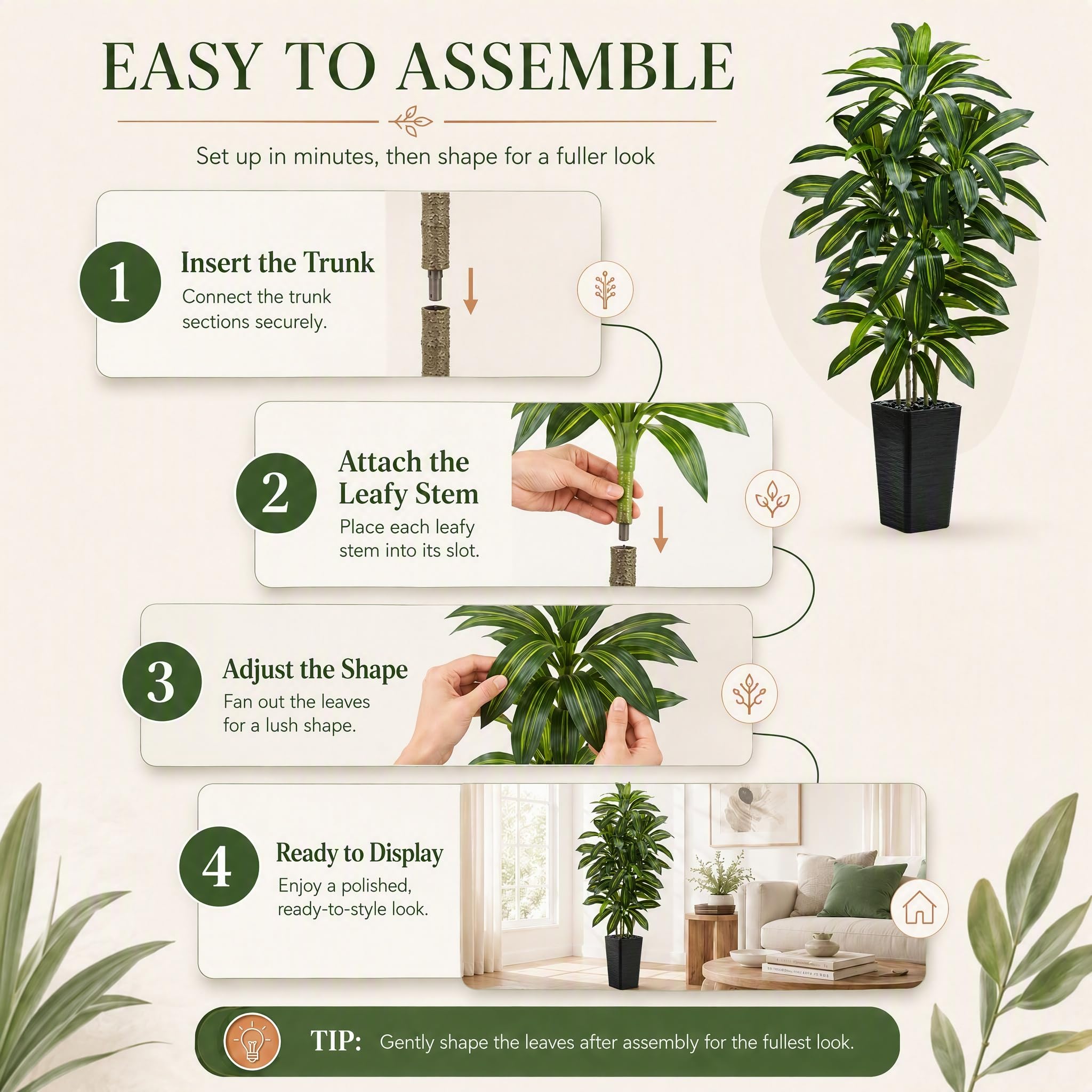 TNGGNT dracaena in living room demonstrating scale and instant greenery benefit
