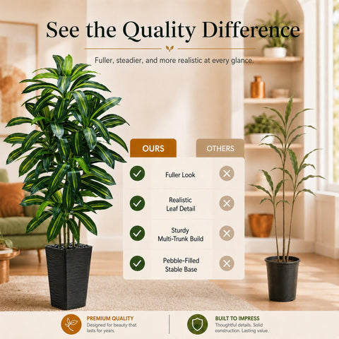 TNGGNT dracaena styled in office corner offering low-maintenance sophistication benefit