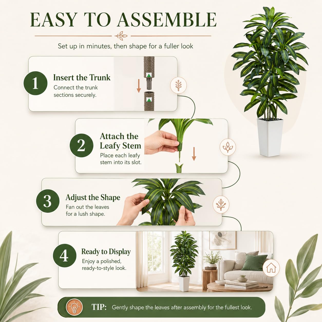 TNGGNT dracaena beside sofa showing scale and how it complements living room proportions