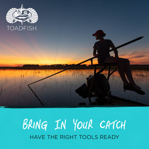 Toadfish tools cracking lobster during a seafood meal for faster serving