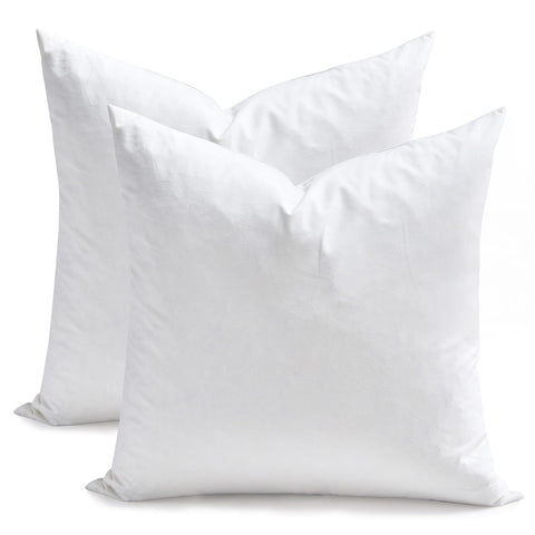 TOPGREEN front packaging shot shows two 16x16 inserts, ready to style pillows