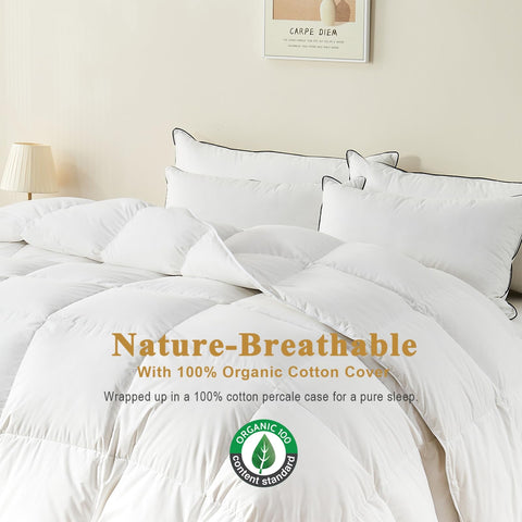 TOPGREEN organic cotton close-up texture highlighting softness and breathability