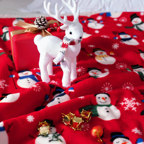 Touchat blanket folded on sofa showing neat drape and decorative accent