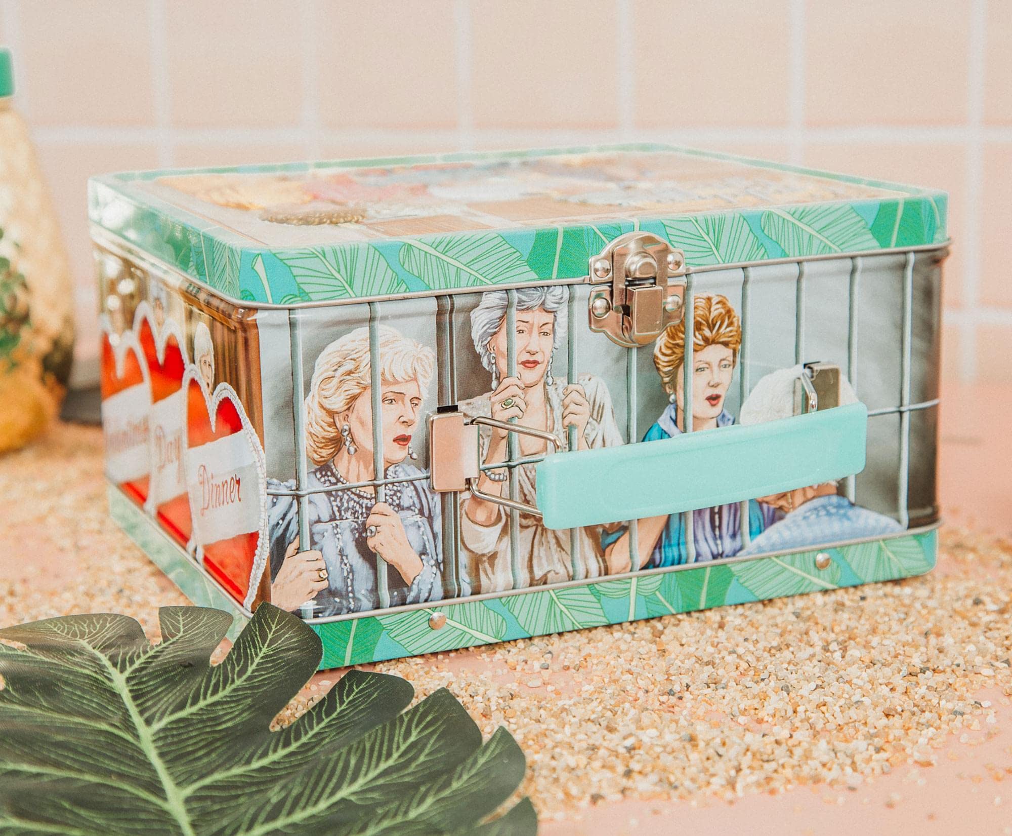 Toynk Golden Girls displayed on shelf in a fan collection offering decorative appeal