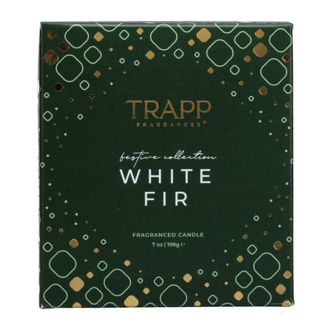 Trapp lit candle in living room providing cozy ambience and steady fragrance benefit