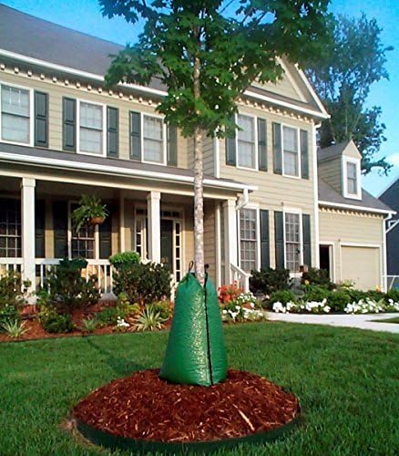 Treegator bag in use around a young tree providing slow deep watering benefit