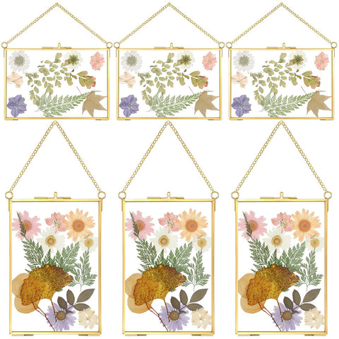 Treela front view gold double glass frame showing suspended keepsake and elegant display