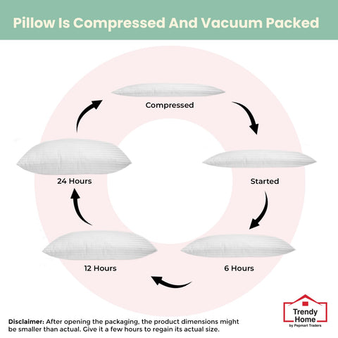 Trendy Home fluffed insert placed on sofa showing immediate loft and decorative impact