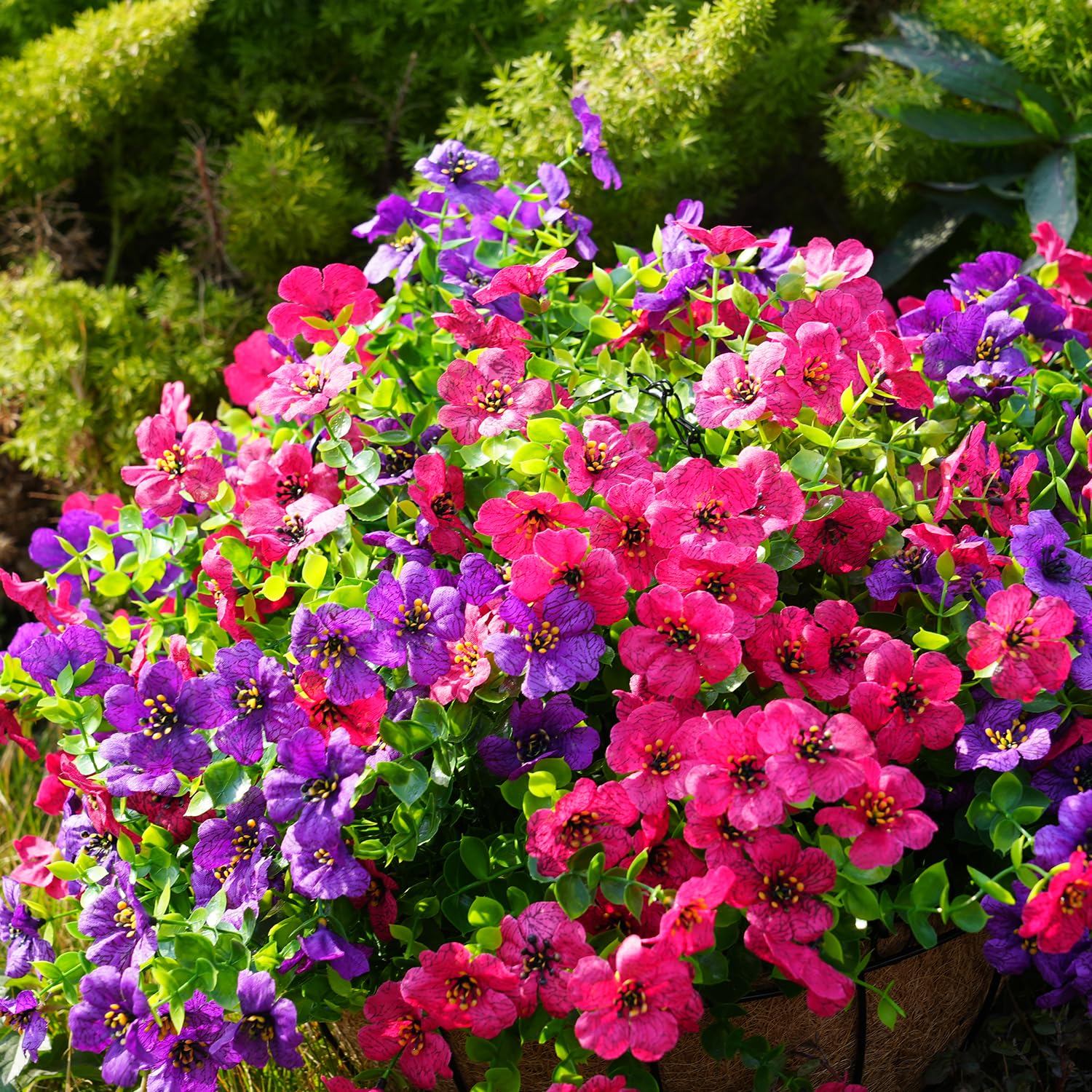trytuny petals fluffed after airing to restore natural bloom shape