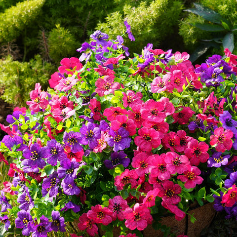 trytuny petals fluffed after airing to restore natural bloom shape