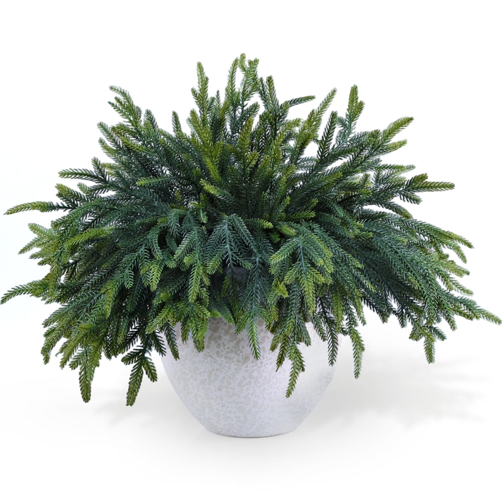 Tulvend front view of 24 pine branches showing full set and packaging benefit