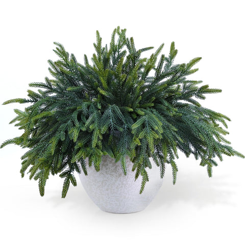Tulvend front view of 24 pine branches showing full set and packaging benefit