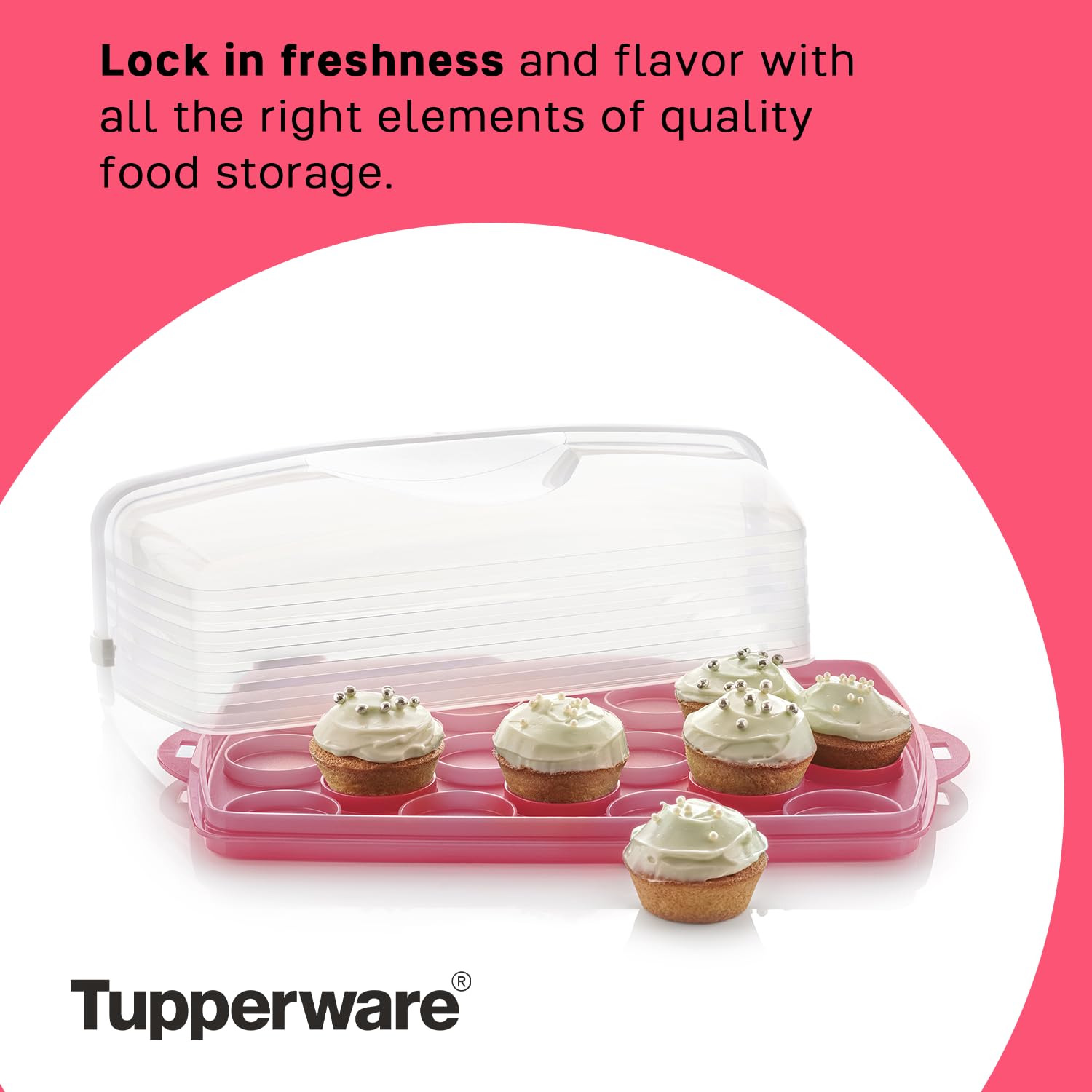 Tupperware with 18 cupcakes inside showing protection and organized transport