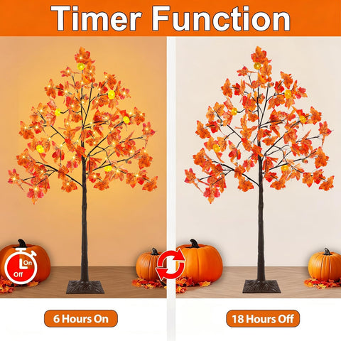 TURNMEON close-up pumpkin light highlighting warm amber glow benefit