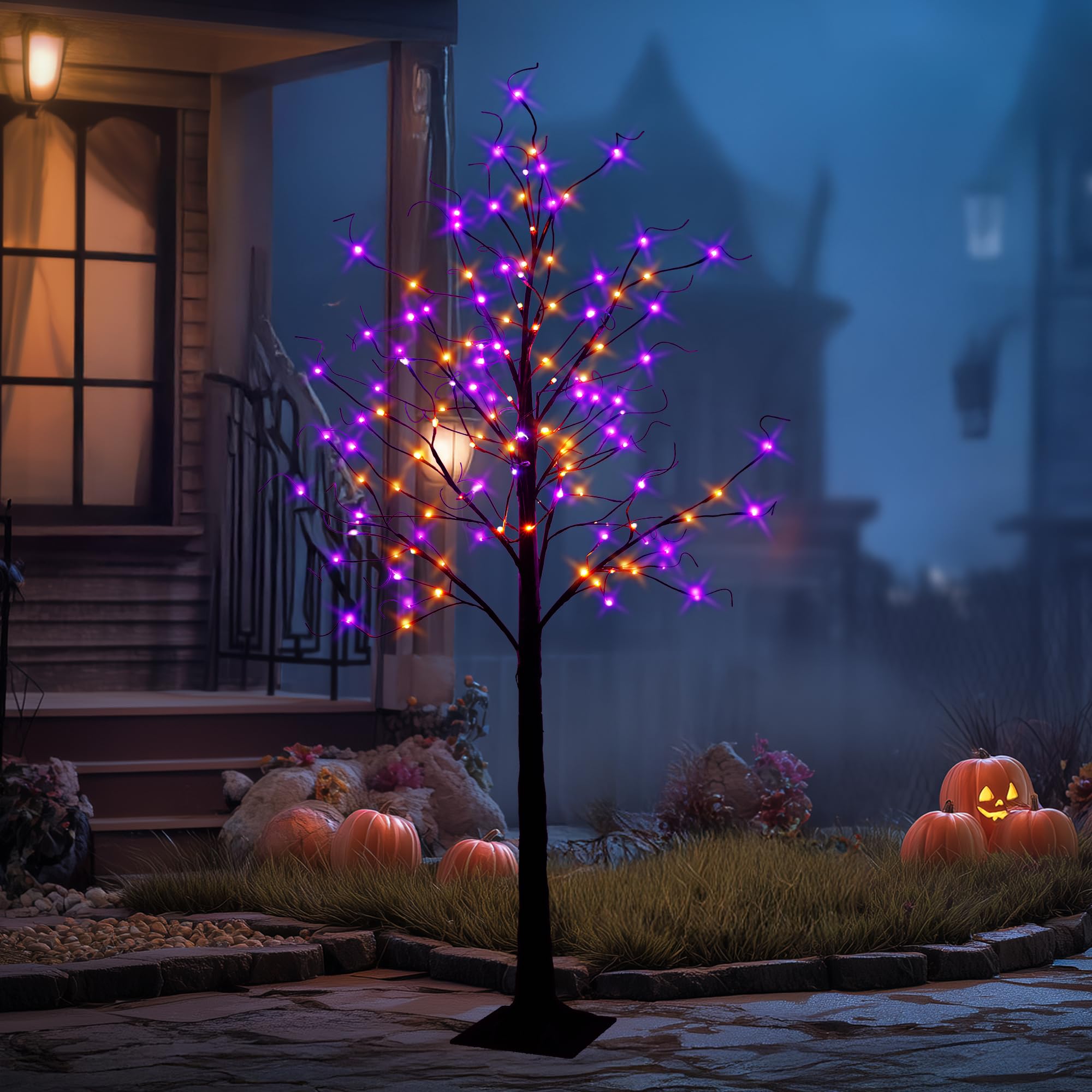 TW SHINE front view of 6ft black birch tree showing full lit silhouette and curb appeal