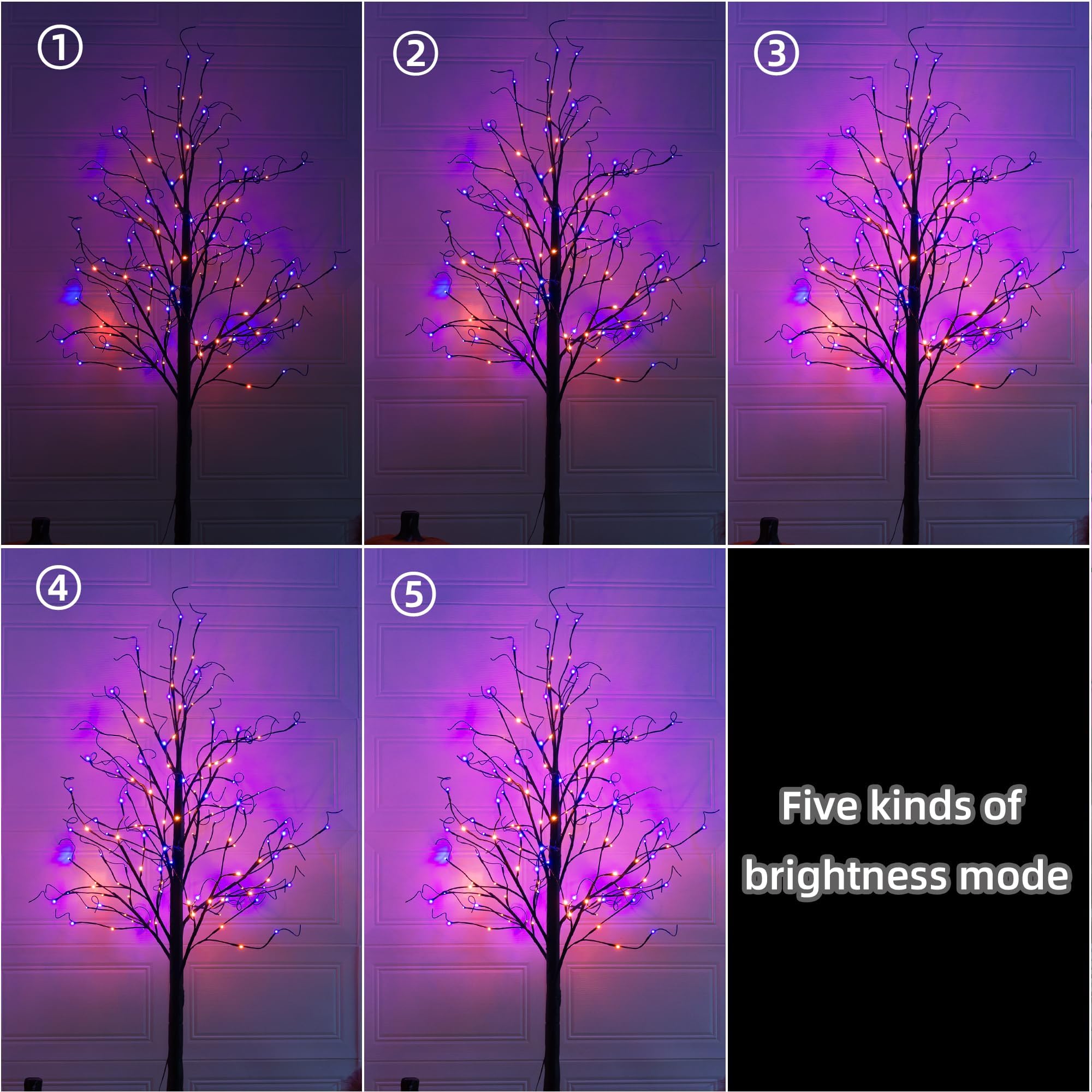 TW SHINE tree beside doorway showing 6ft height scale for placement planning