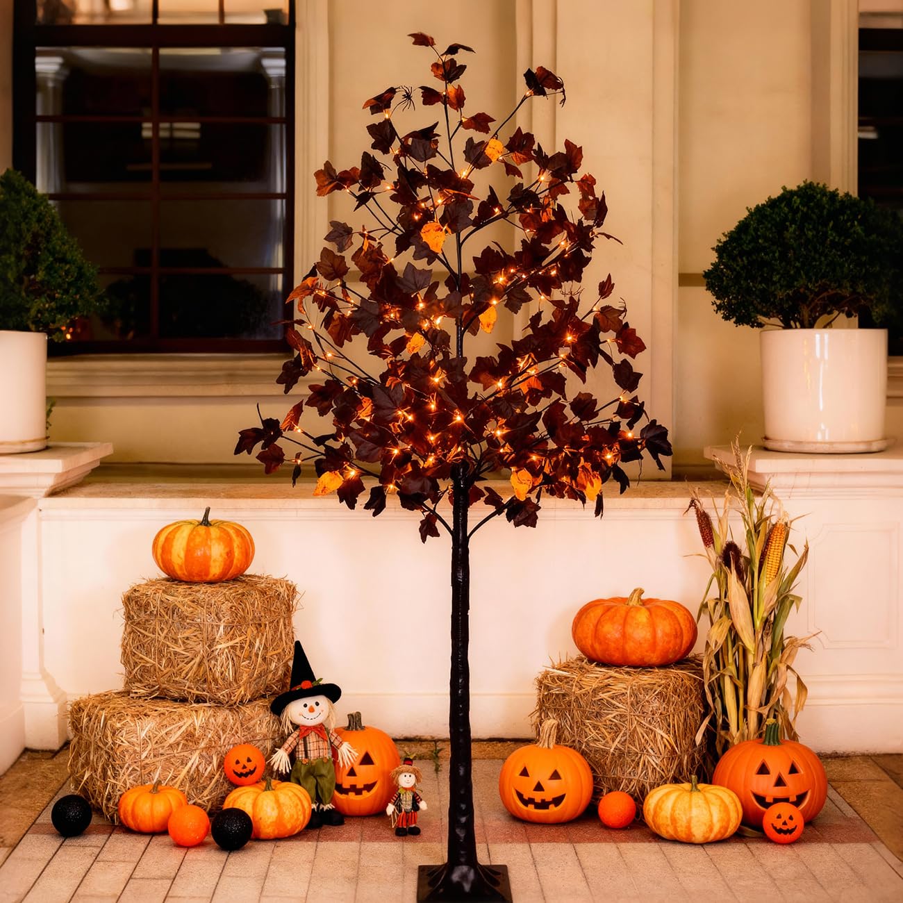 TYBEEU black maple tree front view showing full decorated look and curb appeal