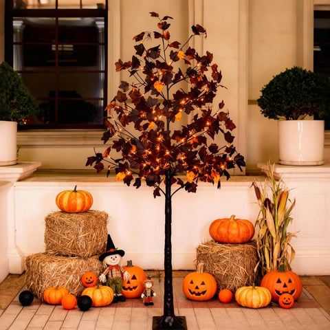 TYBEEU black maple tree front view showing full decorated look and curb appeal