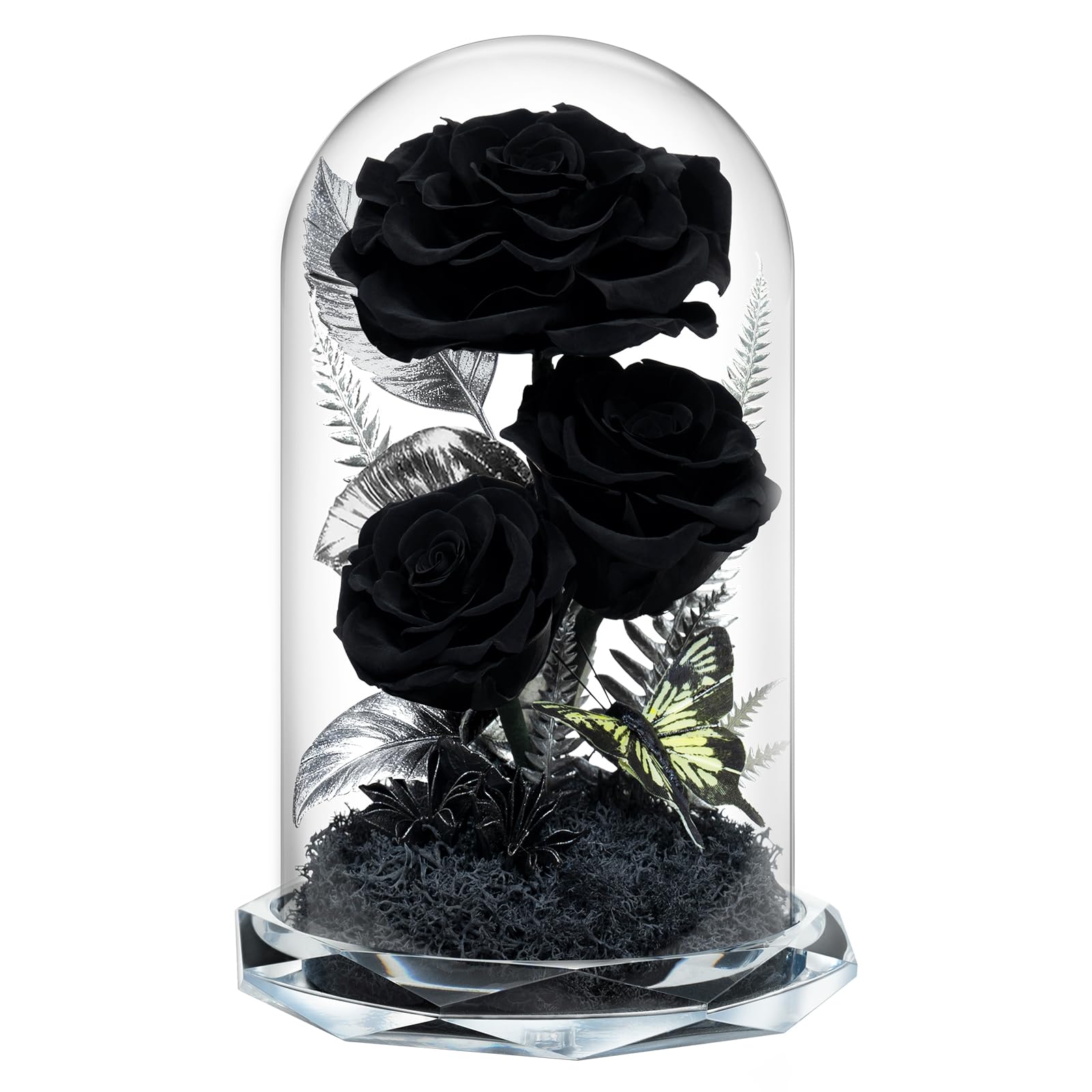 Tyvouflo glass dome front display showing three black preserved roses and aesthetic appeal