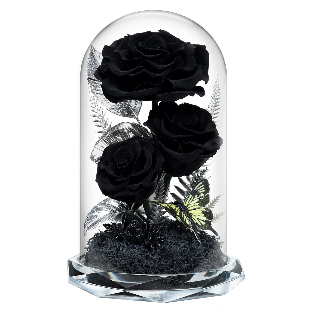 Tyvouflo glass dome front display showing three black preserved roses and aesthetic appeal