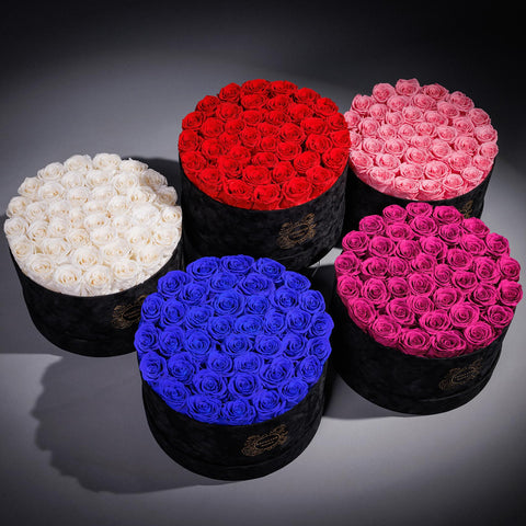 UFOREVER ROSES scale image beside decor showing compact footprint and easy placement benefit