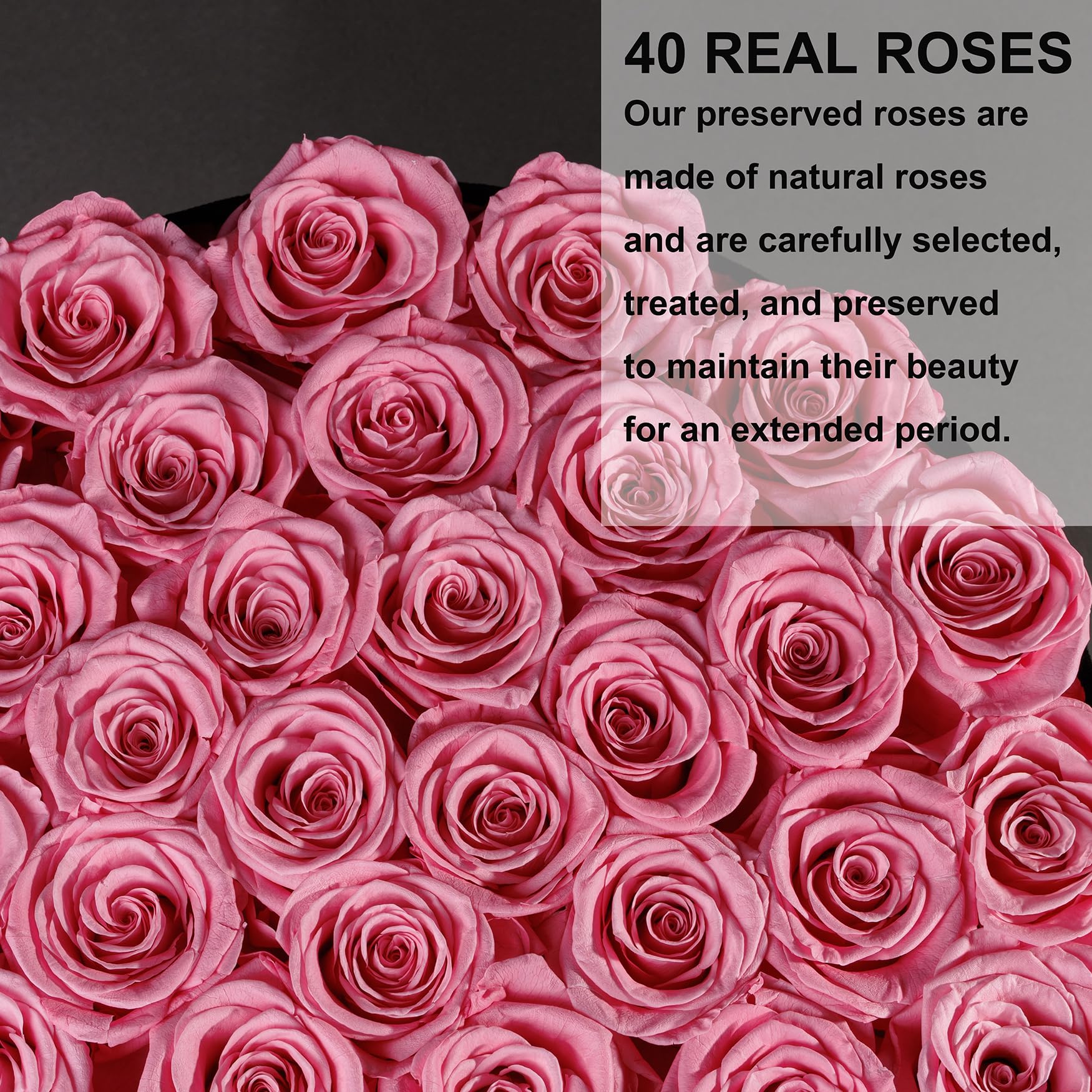 UFOREVER ROSES side profile of suede box showing structured protection and sophisticated finish