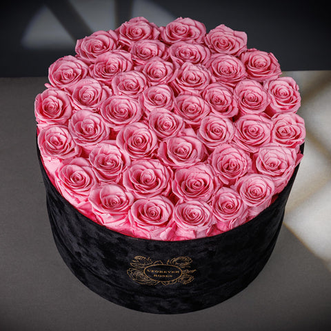 UFOREVER ROSES top view of 40 pink preserved roses highlighting even arrangement and lasting color
