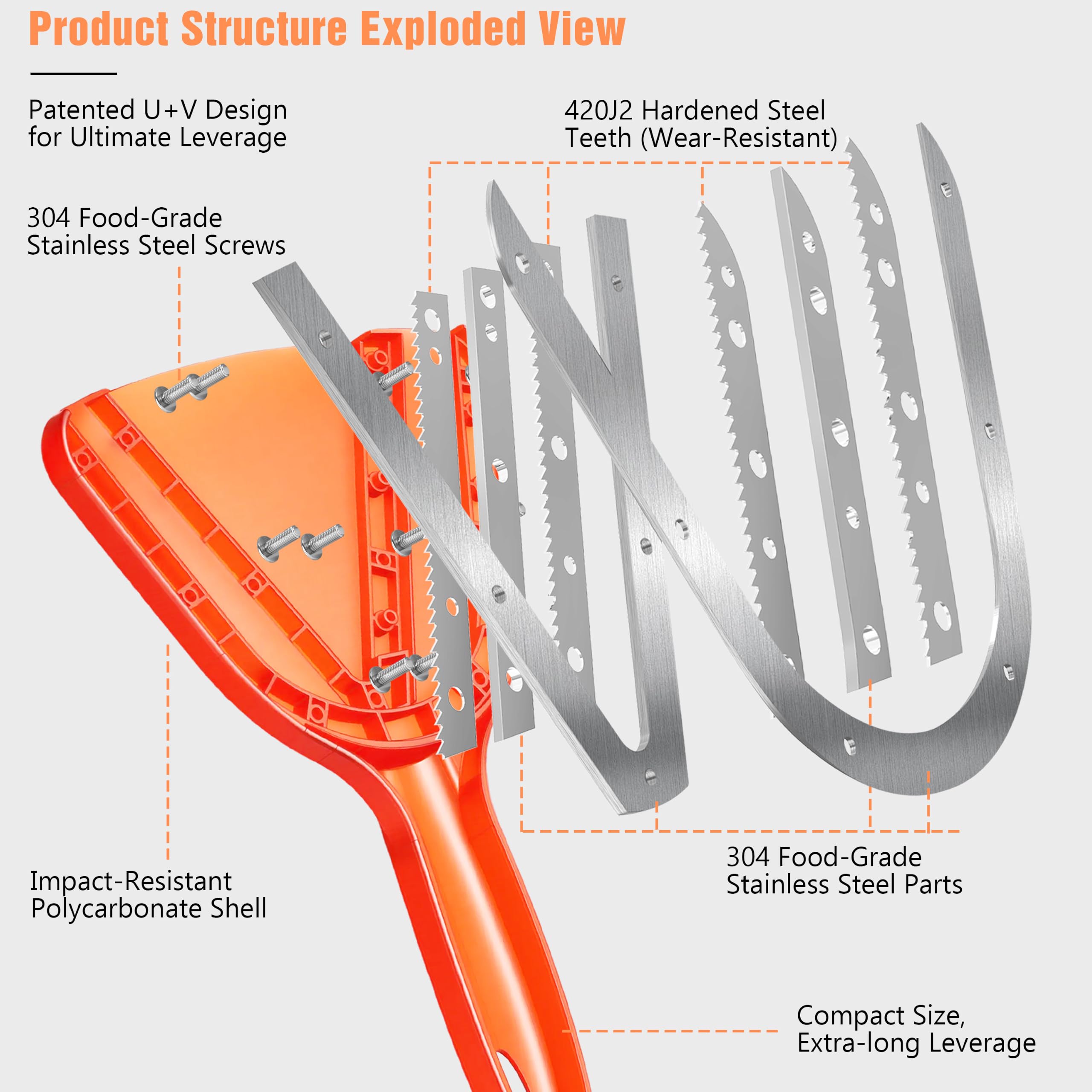 Uinxan beside multiple cap sizes showing its all-size fit benefit