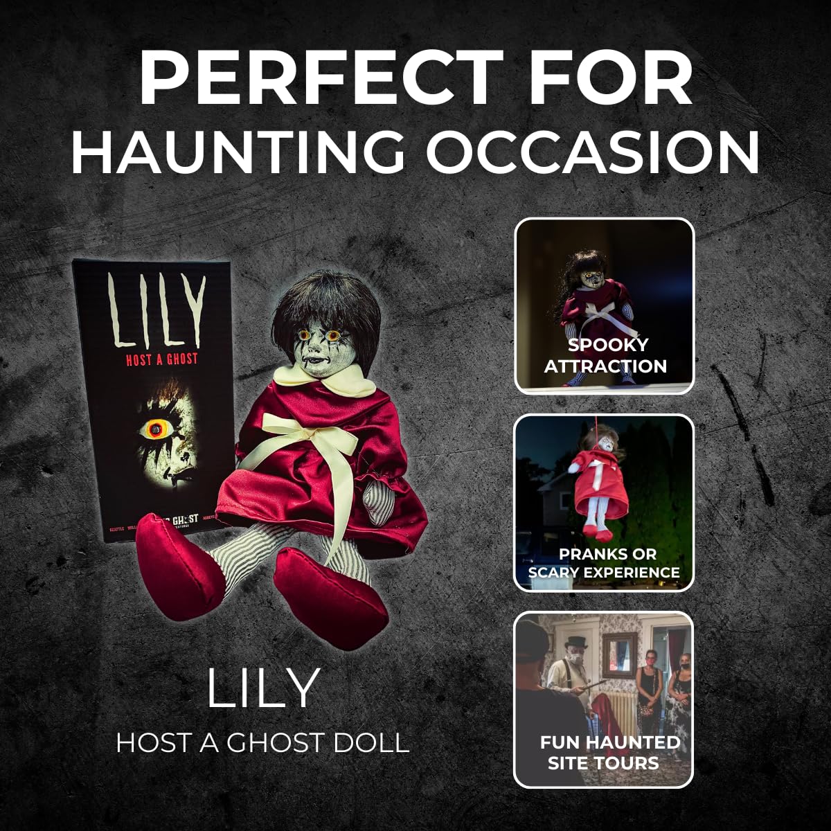 US Ghost Adventures Lily staged on shelf enhances spooky décor and conversational appeal