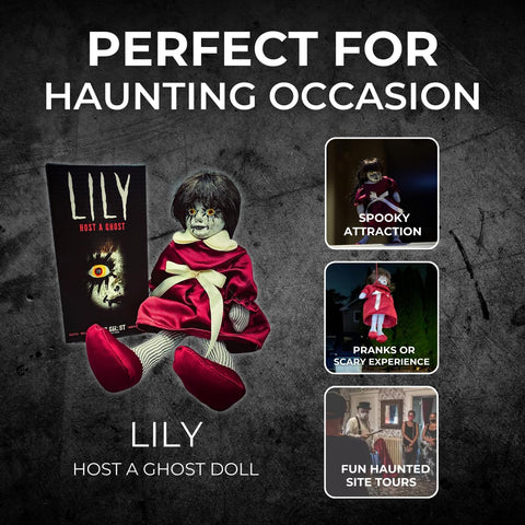 US Ghost Adventures Lily staged on shelf enhances spooky décor and conversational appeal