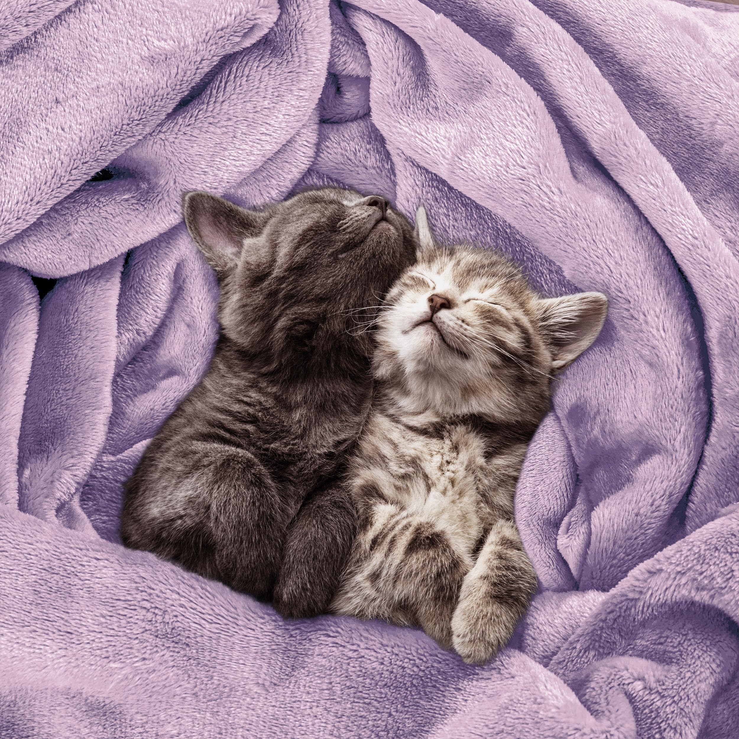 Utopia Bedding lilac blanket styled on queen bed adding cozy color to room