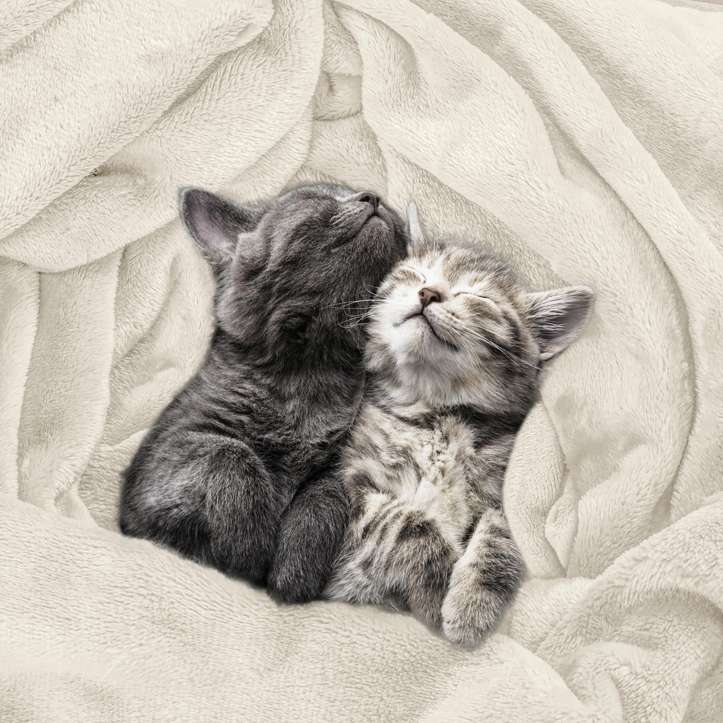 Utopia Bedding blanket spread on a queen bed providing cozy, oversized coverage