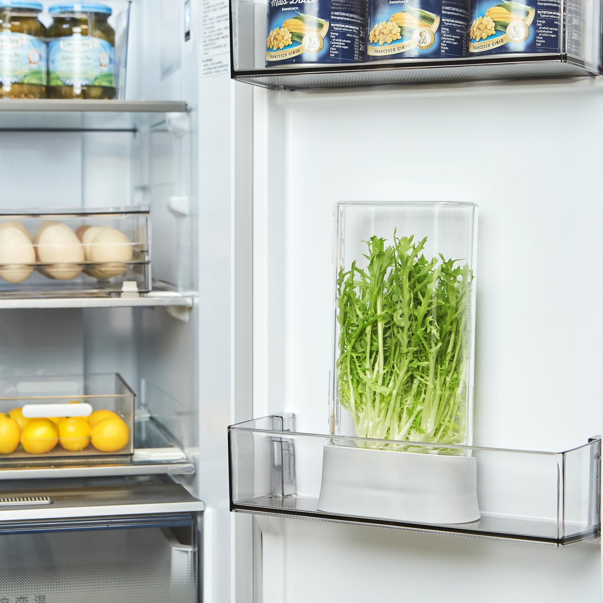 vacane lifestyle kitchen counter displaying organized herbs ready for cooking benefit