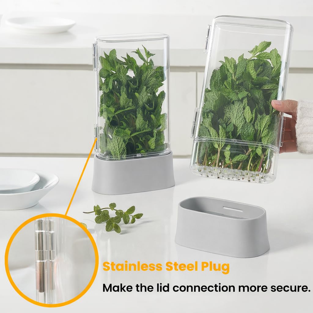 vacane with cilantro in fridge shelf keeping herbs upright and visible longer benefit
