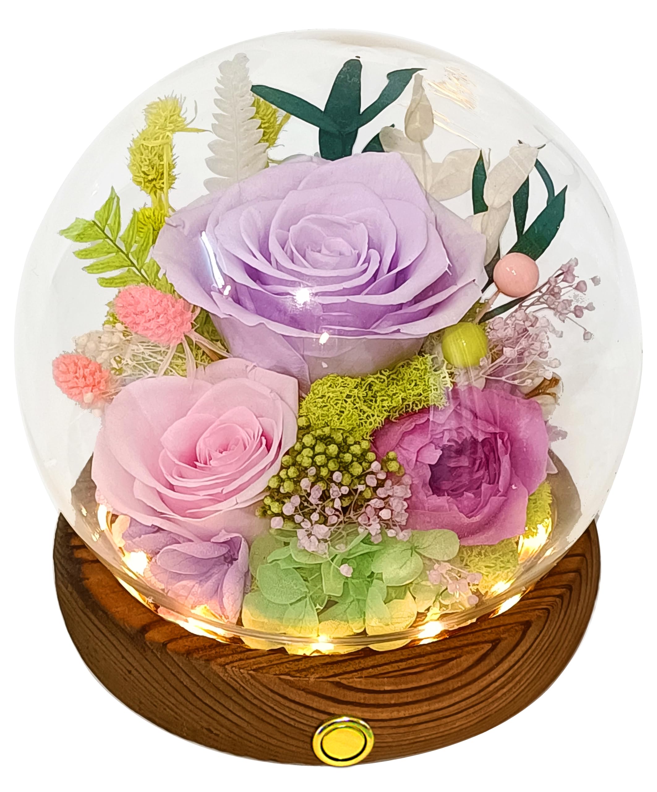 Valley of Rain & Forest front view glass dome showing elegant preserved flowers and benefits