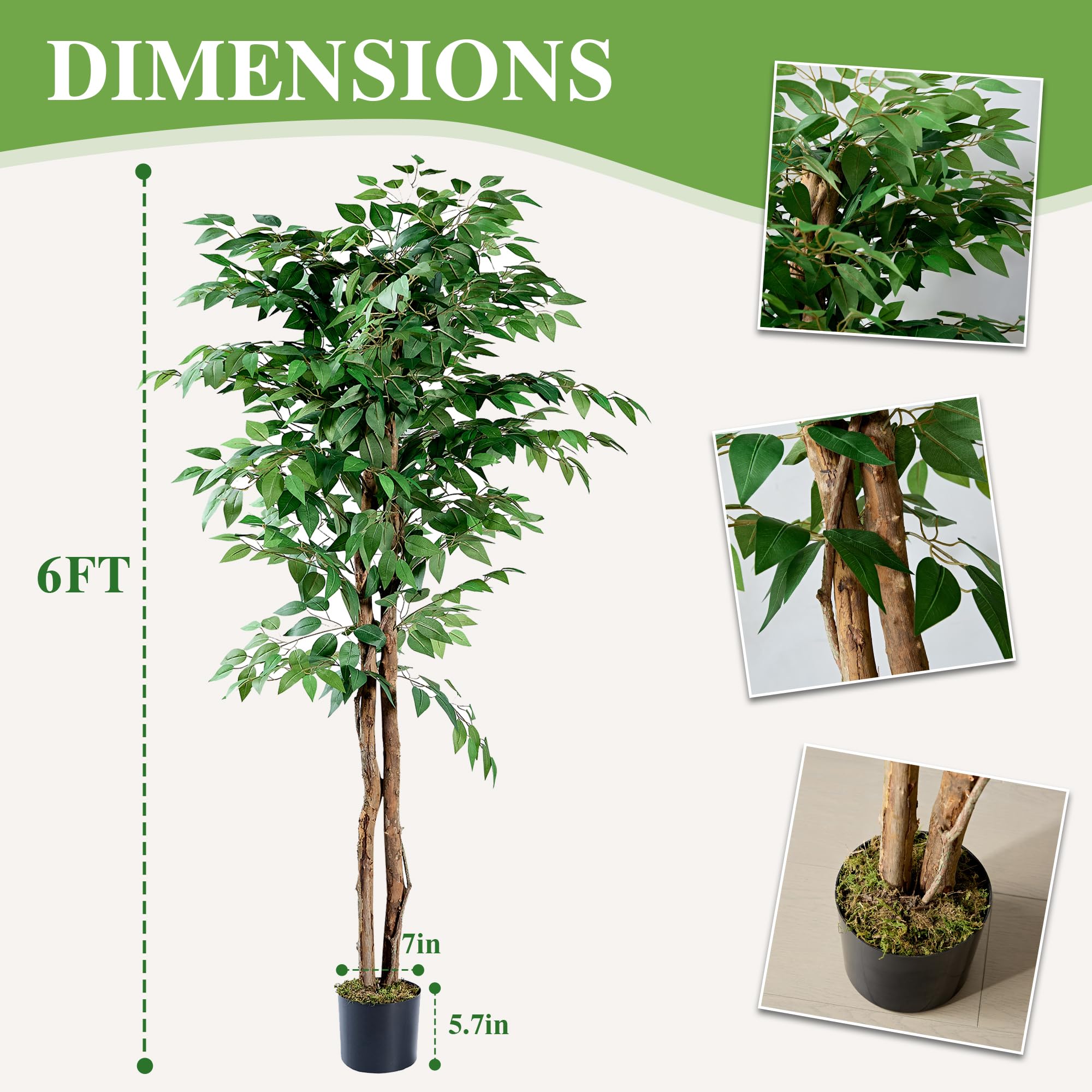 VECELO tree in office corner improving ambience and visual appeal without watering