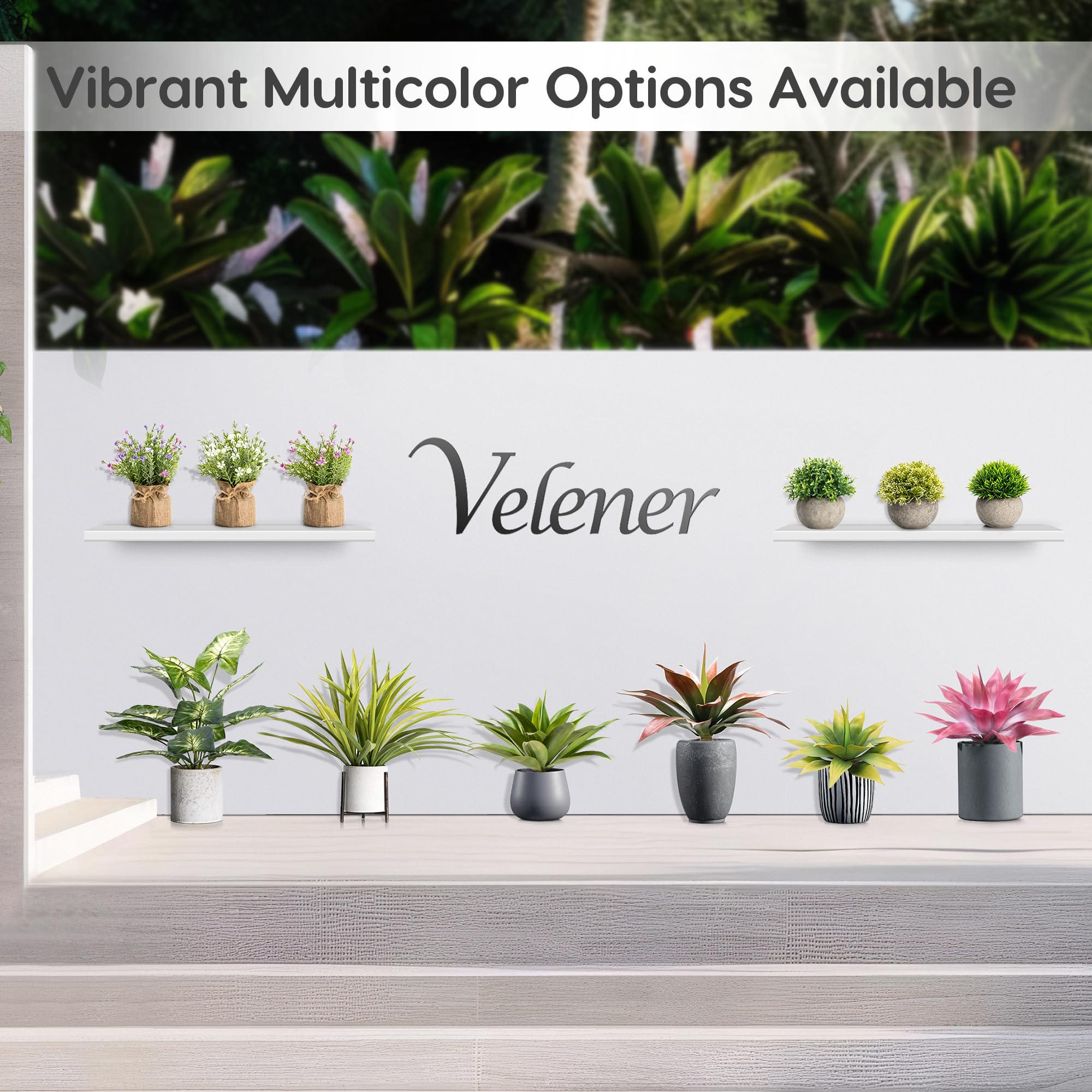 Velener agave close-up of finish illustrating UV-resistant coating for longer vibrancy