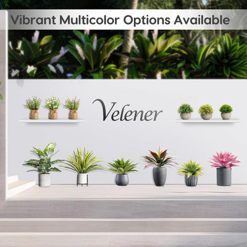 Velener agave close-up of finish illustrating UV-resistant coating for longer vibrancy