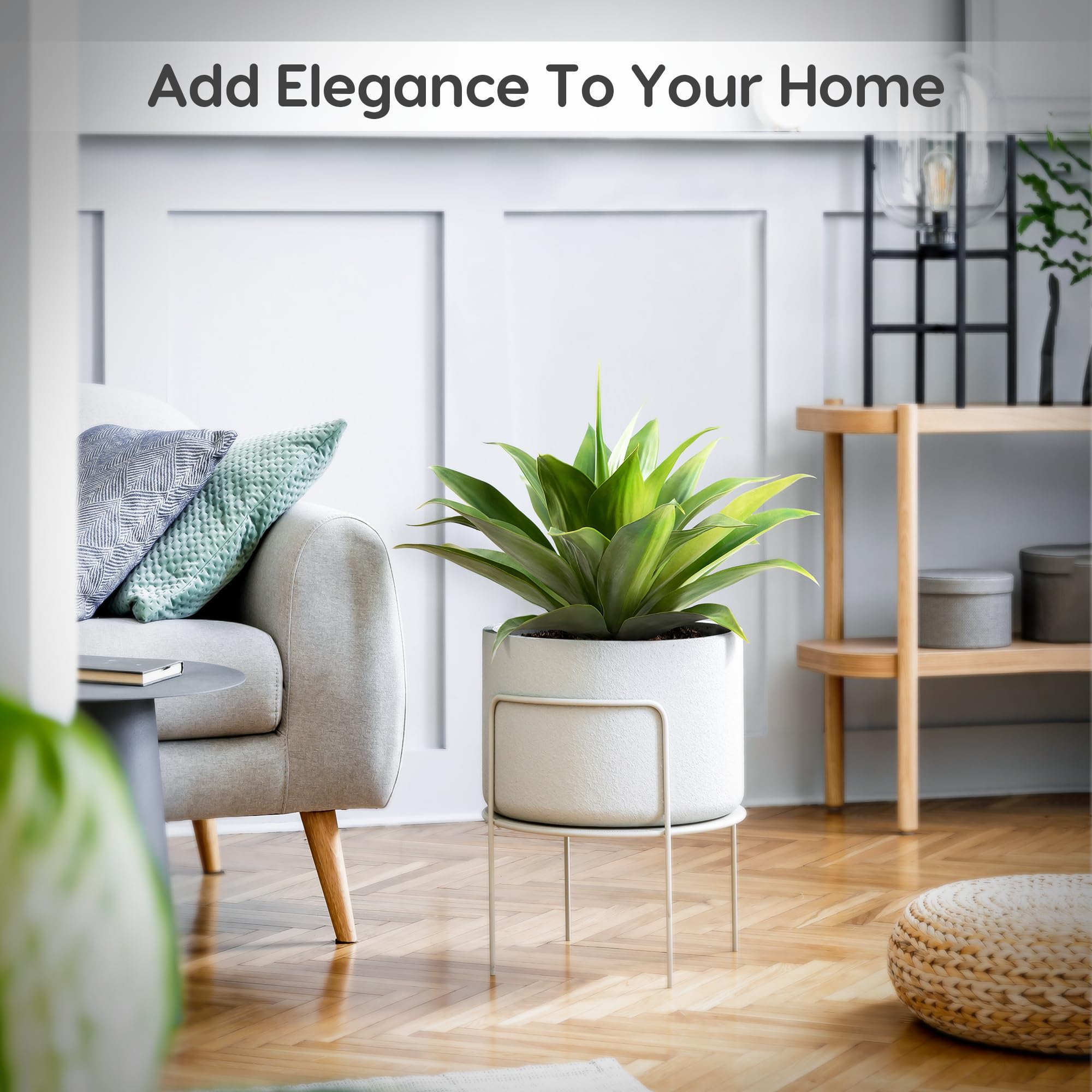 Velener agave beside chair demonstrating scale and ideal planter fit