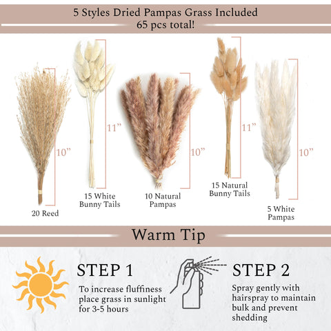 VELOVA assorted pampas stems laid out showing included variety and fullness