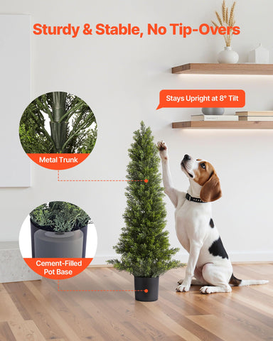 VEVOR cedar topiary styled on patio providing year-round greenery