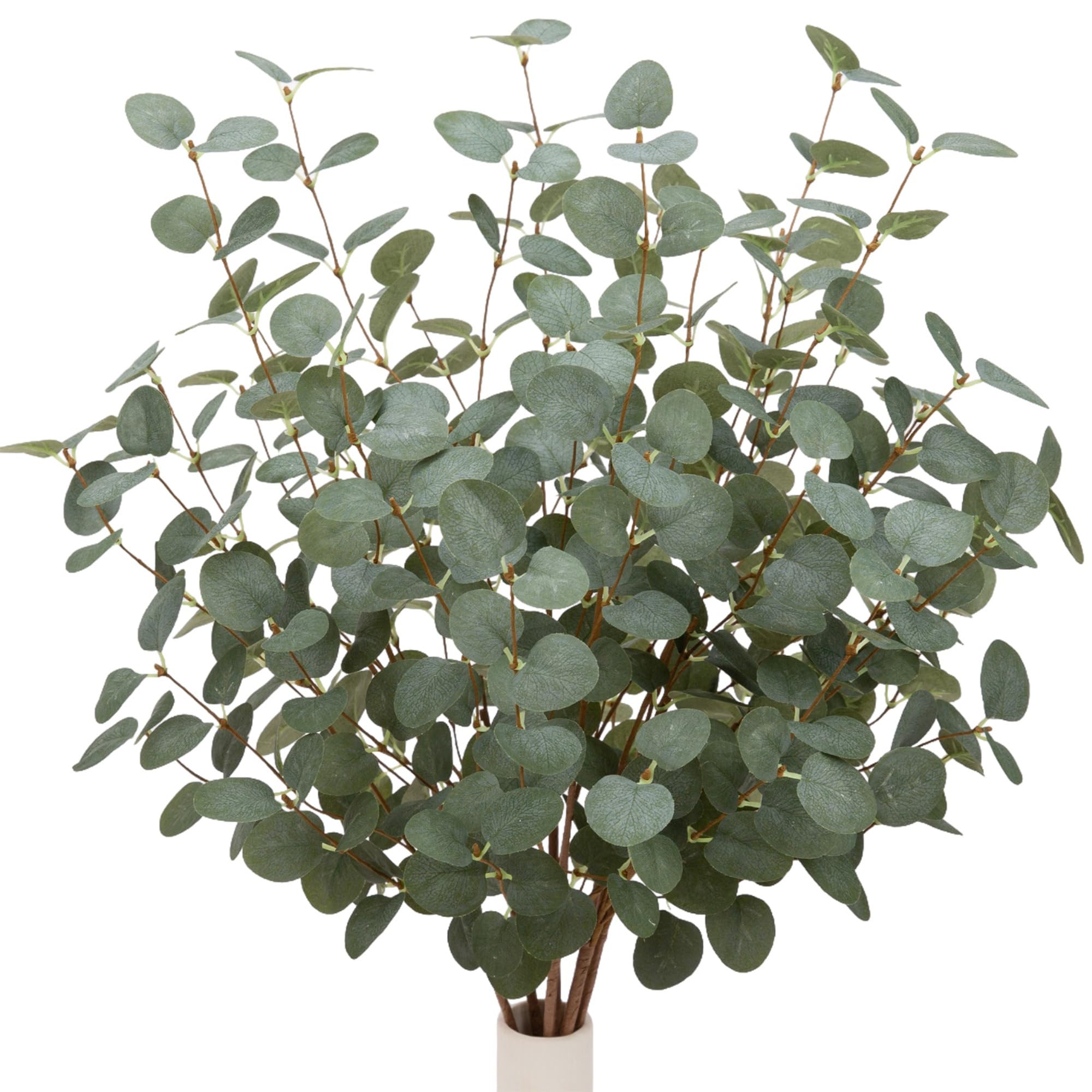 VGIA eucalyptus front packaging showing 12 stems and dark green leaves, decorative convenience